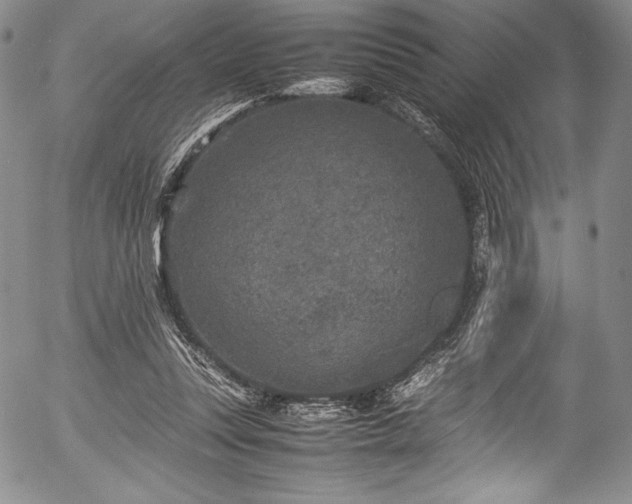 X0000054370351200508011226