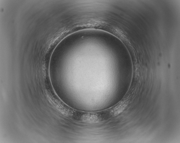 X0000054370354200508011226