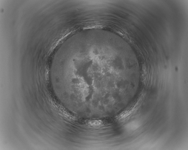 X0000054370355200508011226