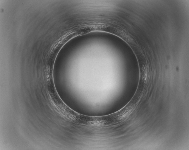 X0000054370356200508011226