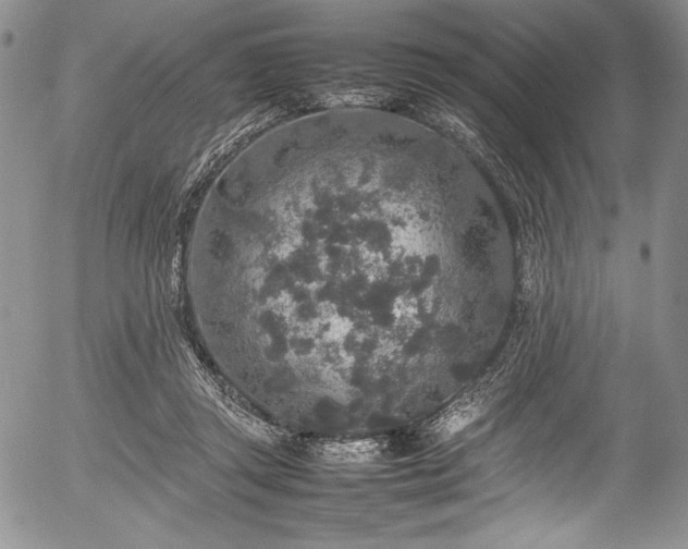 X0000054370357200508011226