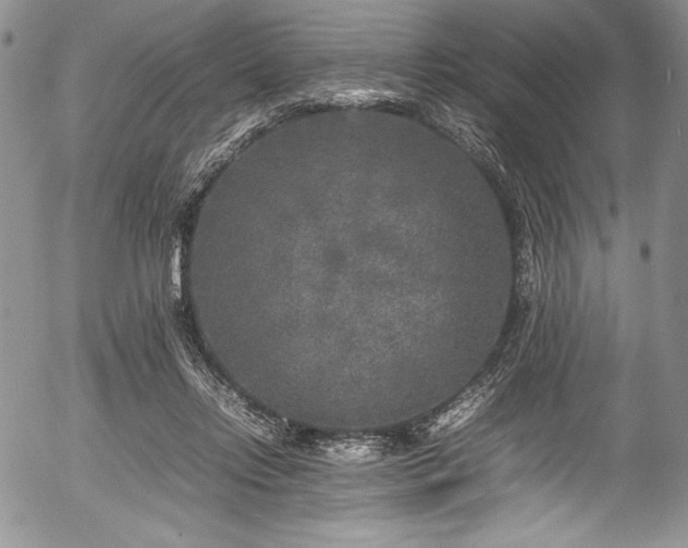 X0000054370358200508011226