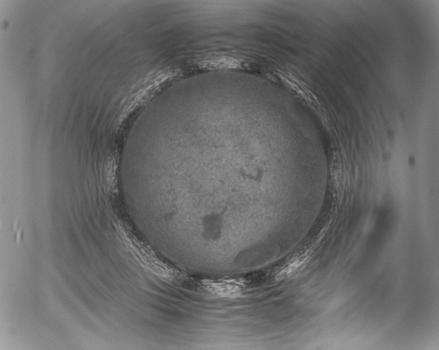 X0000054370359200508011226