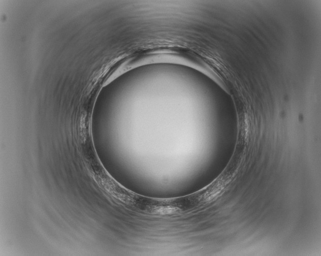 X0000054370360200508011226