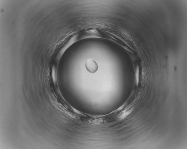 X0000054370362200508011226