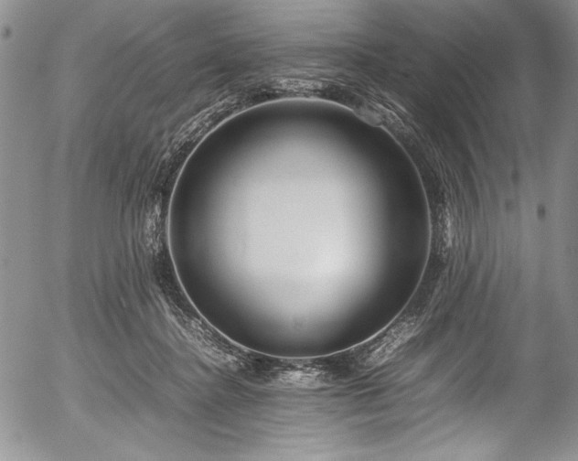 X0000054370364200508011227