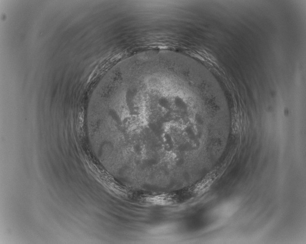 X0000054370365200508011227