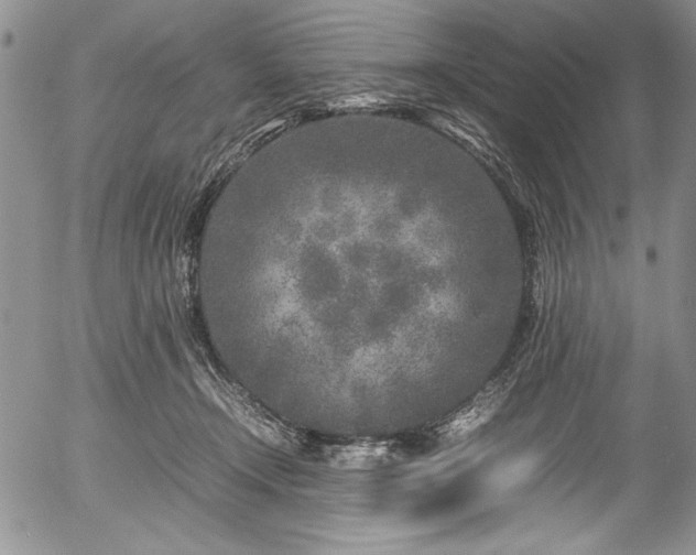 X0000054370366200508011227