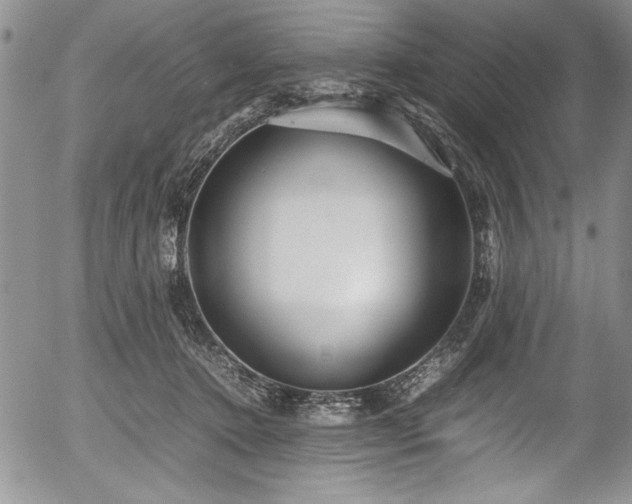 X0000054370368200508011227