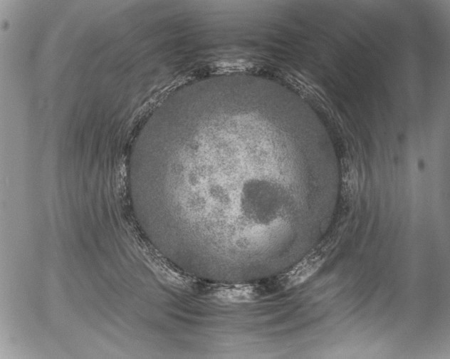 X0000054370369200508011227