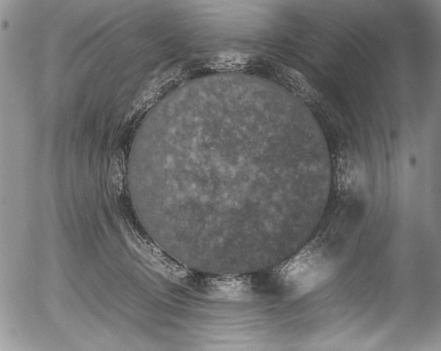 X0000054370370200508011227