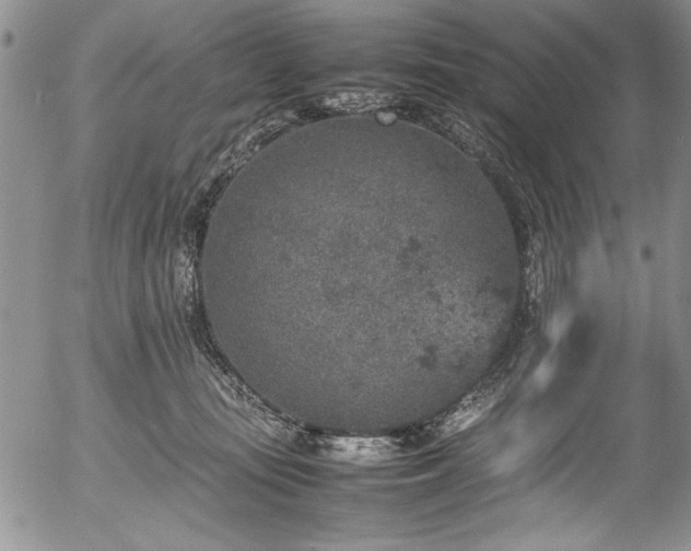 X0000054370371200508011227