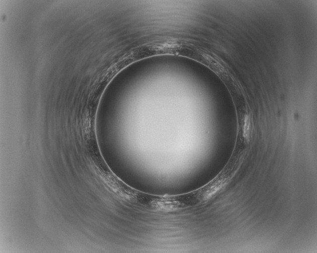 X0000054370372200508011227