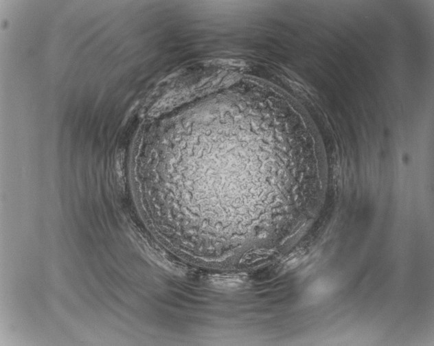 X0000054370373200508011227