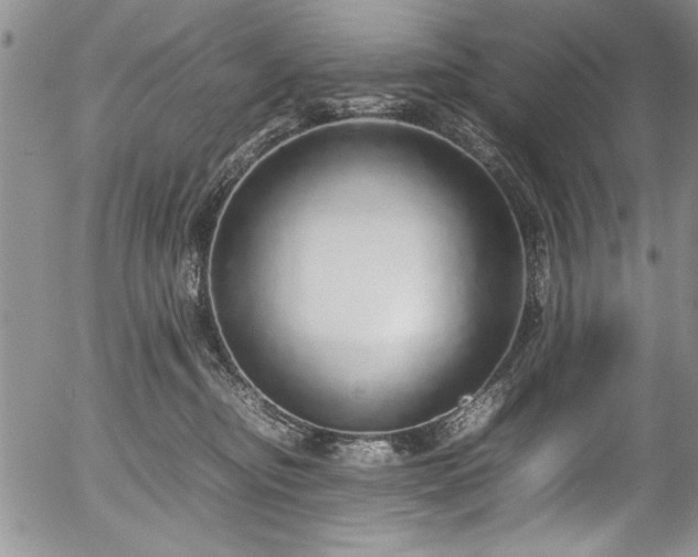 X0000054370374200508011227