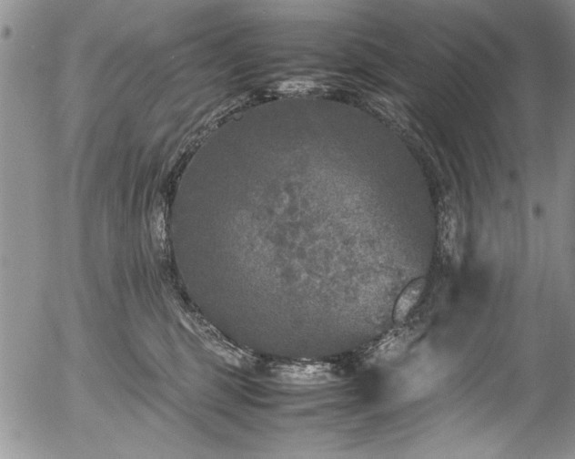 X0000054370375200508011227