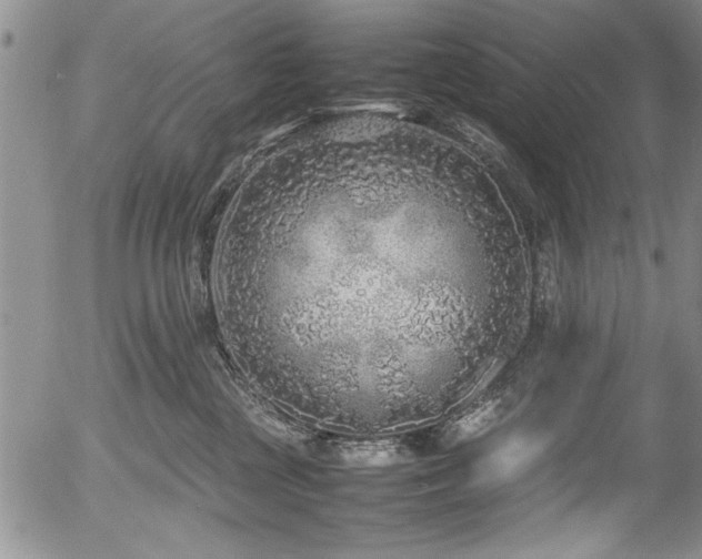 X0000054370377200508011227