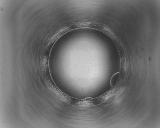 X0000054370378200508011227