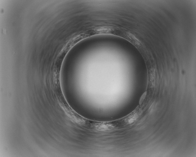 X0000054370379200508011227