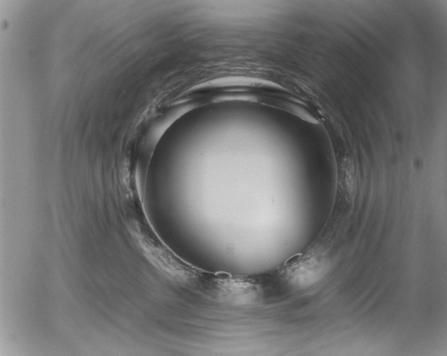 X0000054370380200508011227