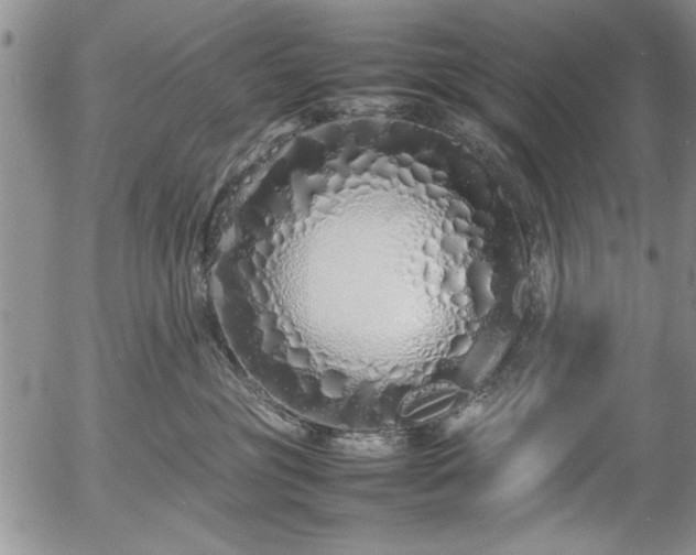 X0000054370381200508011227