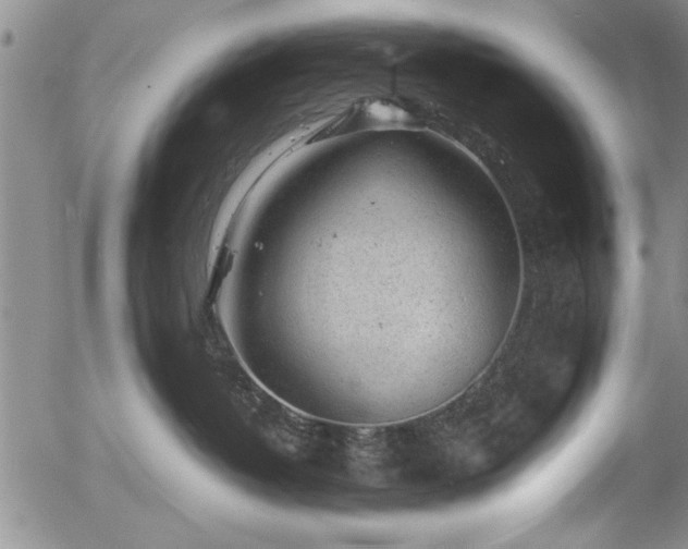 X0000054370382200508011227