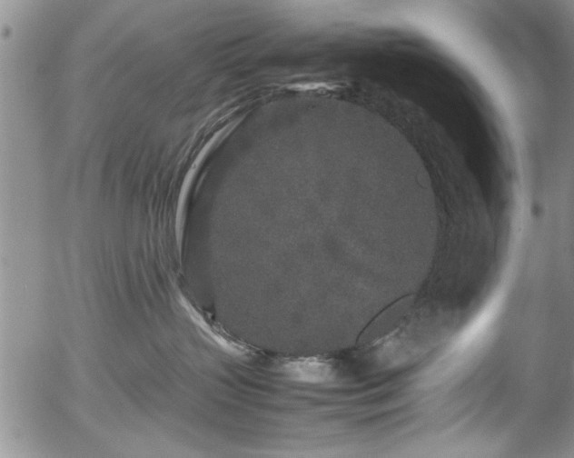 X0000054370383200508011227