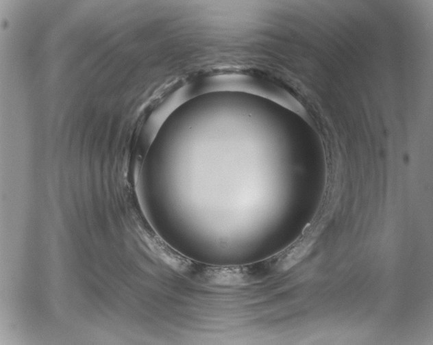 X0000054370384200508011227