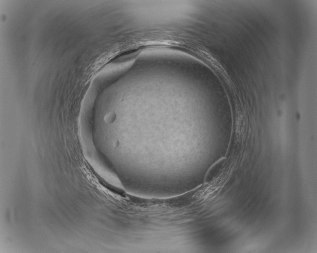 X0000054370385200508011226