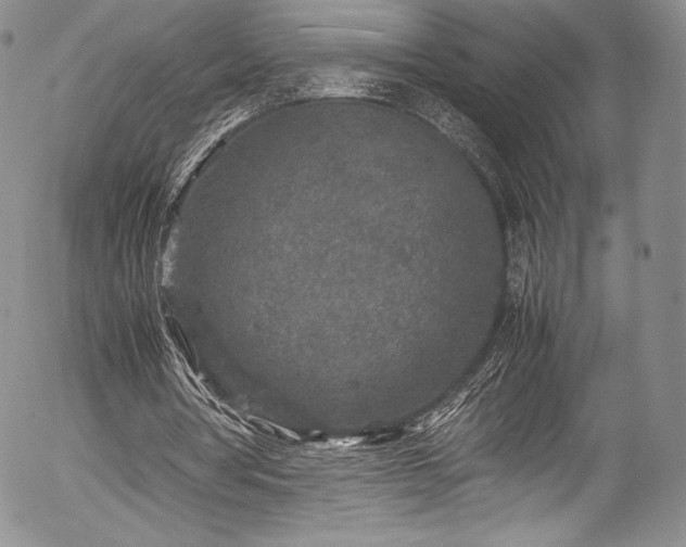 X0000054370386200508011226