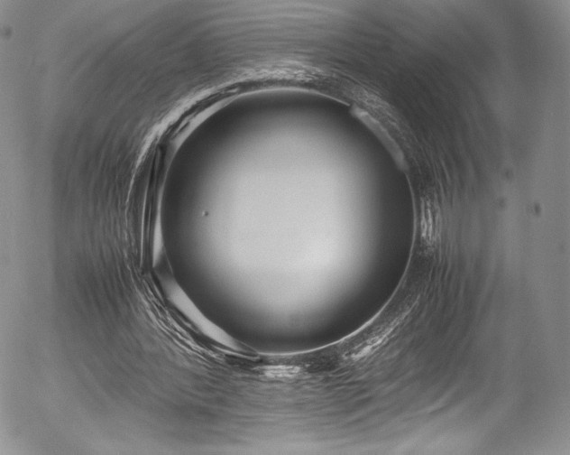 X0000054370388200508011226