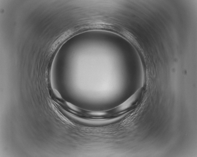 X0000054370389200508011226