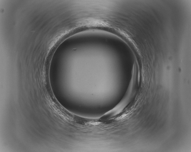 X0000054370391200508011226