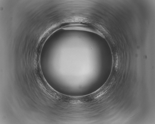 X0000054370392200508011226