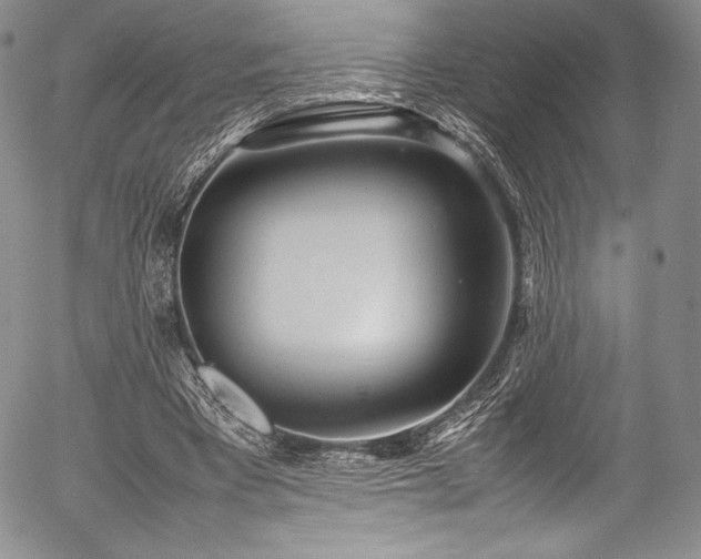 X0000054370393200508011226