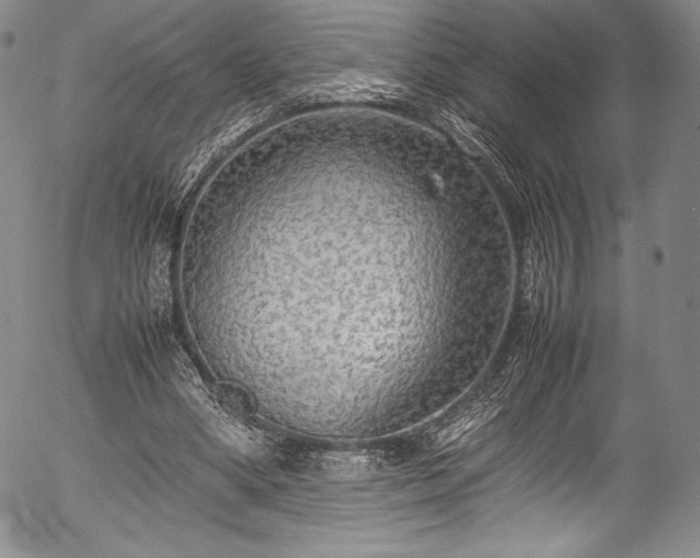 X0000054370394200508011226