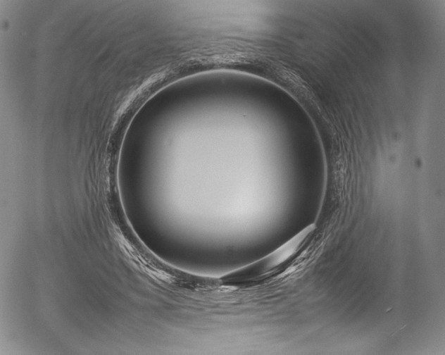 X0000054370395200508011226