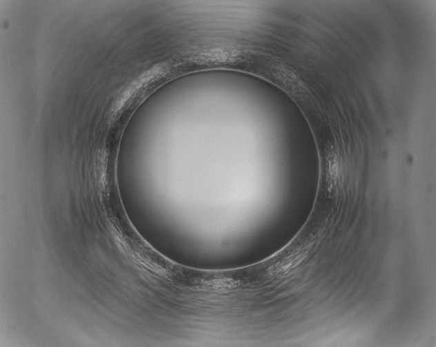 X0000054370396200508011226