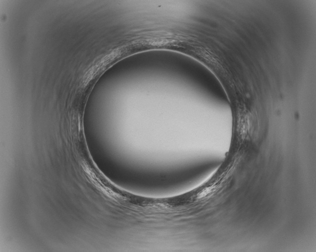 X0000054370397200508011226