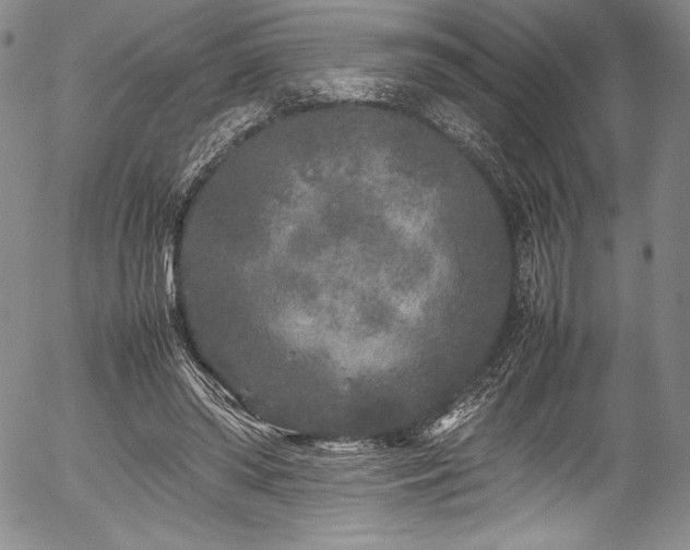 X0000054370398200508011226