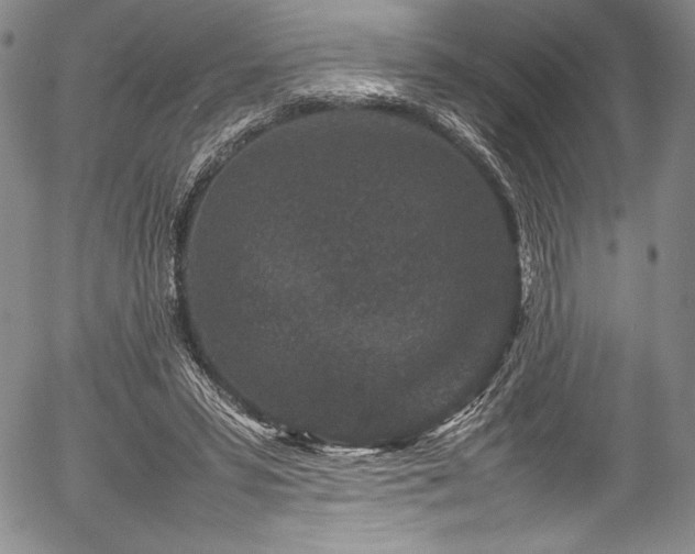 X0000054370399200508011226