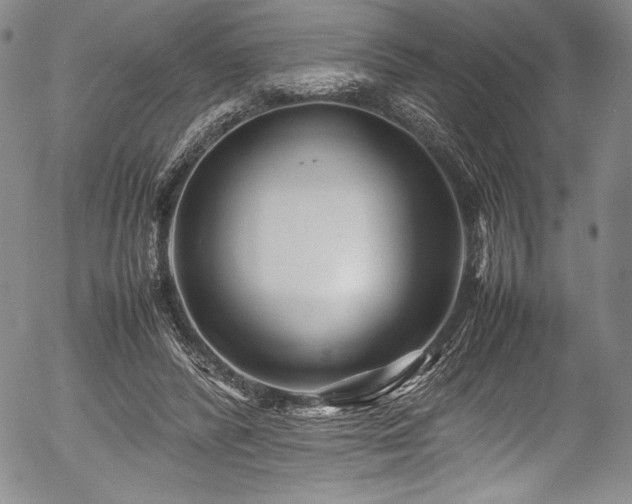 X0000054370400200508011226