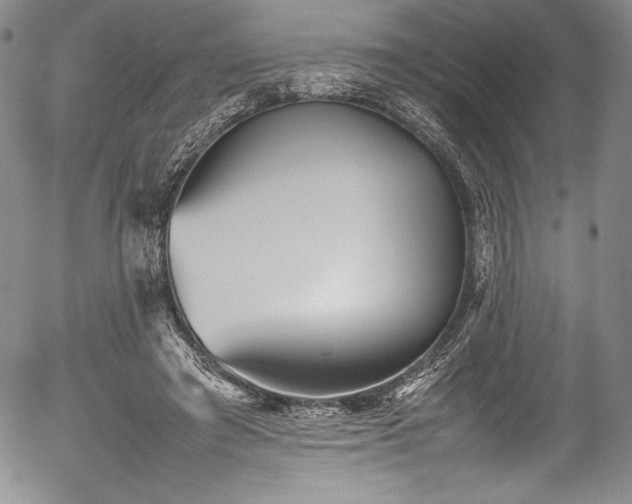 X0000054370401200508011226