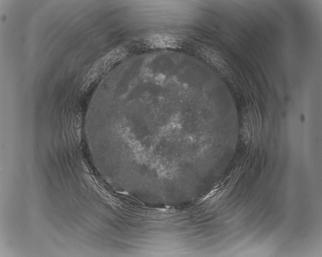 X0000054370402200508011226