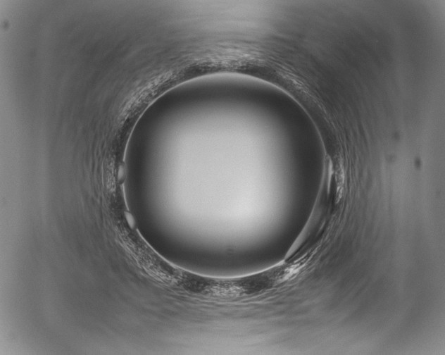 X0000054370403200508011226