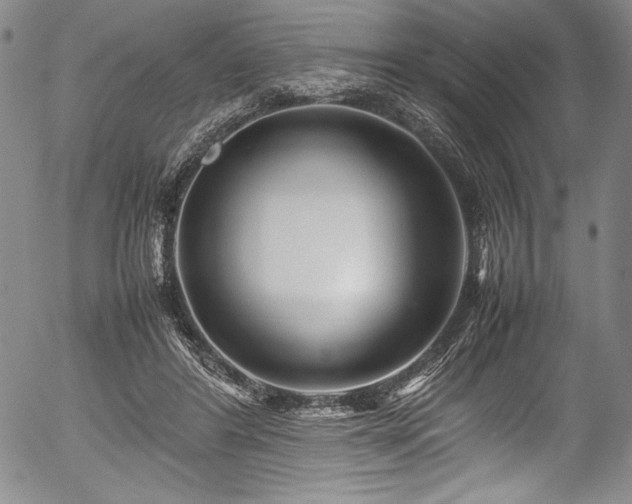 X0000054370404200508011226