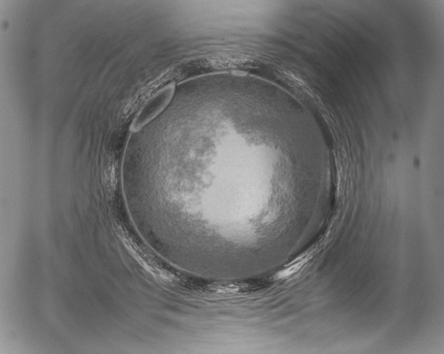 X0000054370405200508011226