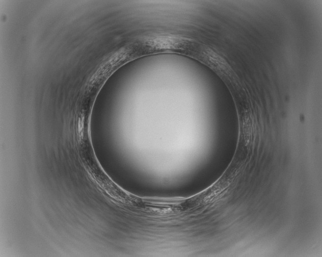 X0000054370406200508011226