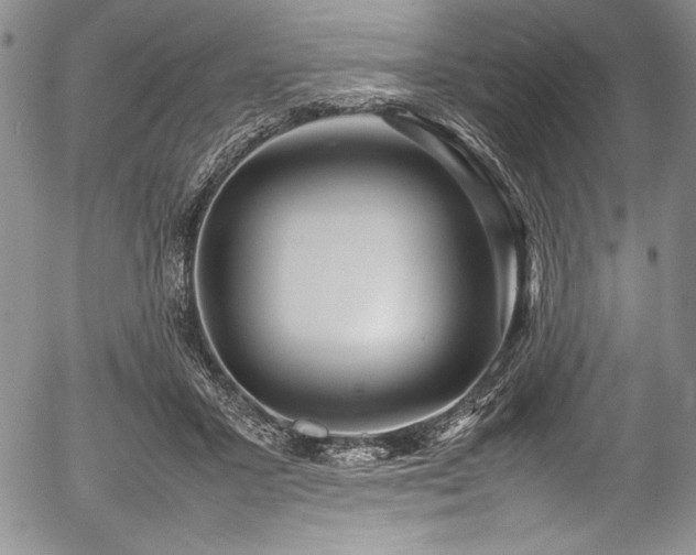 X0000054370407200508011226