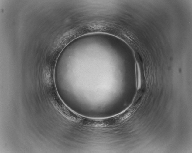 X0000054370408200508011226